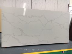 CTAQ017 Calaccata white quartz